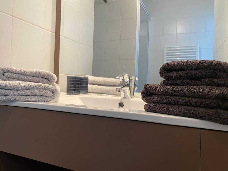 La Suite Griffon - Parking & Balcon Toulouse Eksteriør bilde
