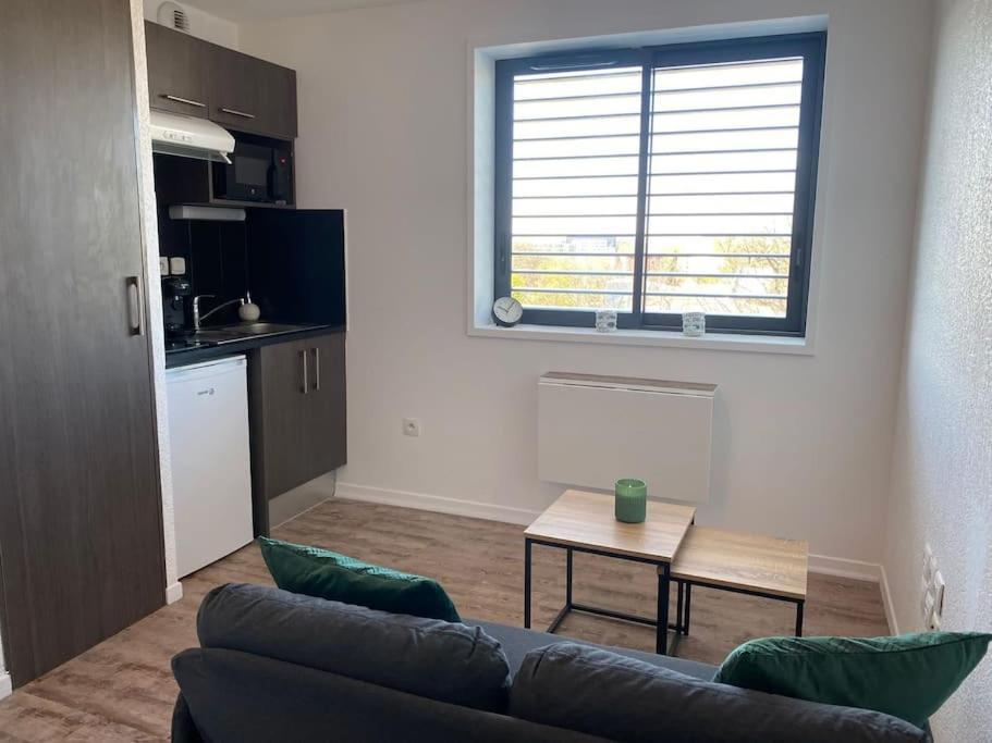 La Suite Griffon - Parking & Balcon Toulouse Eksteriør bilde